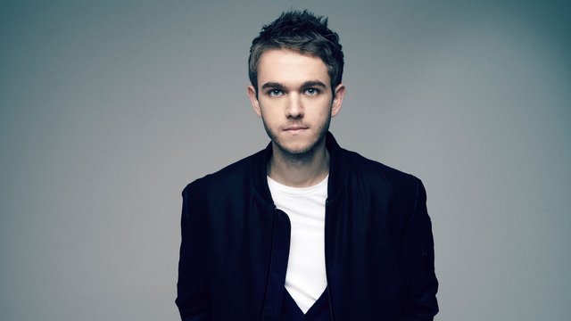 Zedd Net Worth