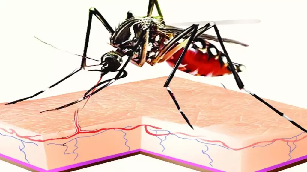 Wadgaonsheri-Ahmednagar road ward report highest cases of dengue in July: PMC