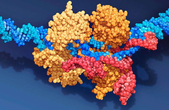 Using CRISPR technology to successfully prevent and treat SARS-CoV-2 infections