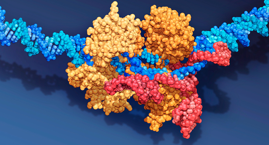 Using CRISPR technology to successfully prevent and treat SARS-CoV-2 infections